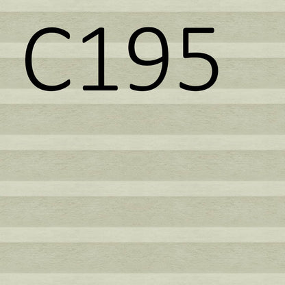 C195 Transparenz 21% PG3