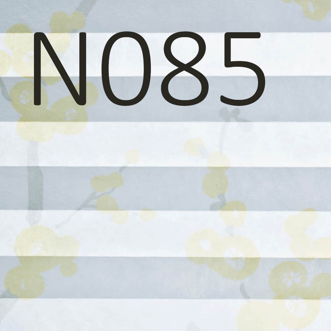 N085 Transparenz 58% PG 3