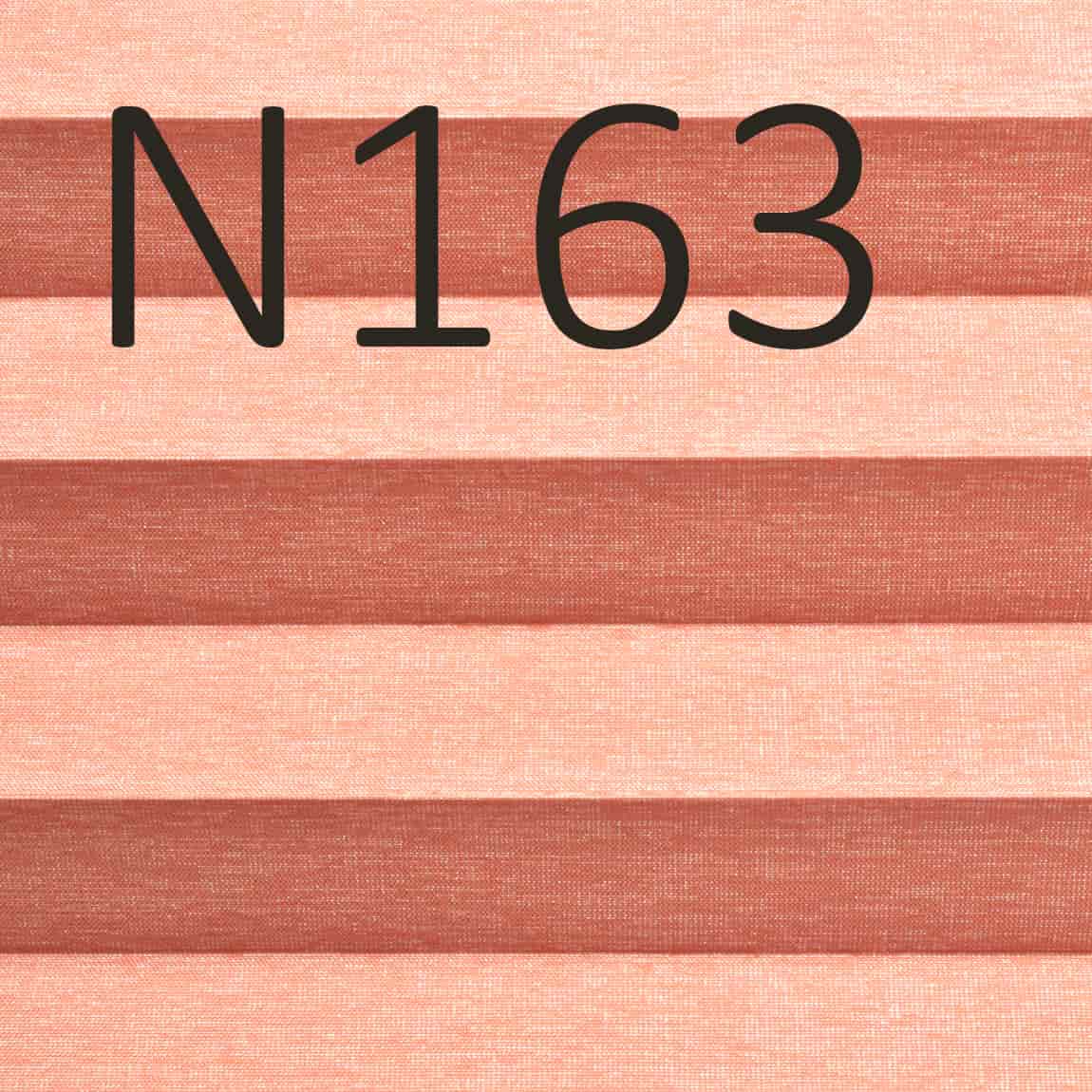 N163 Transparenz 10% PG 3