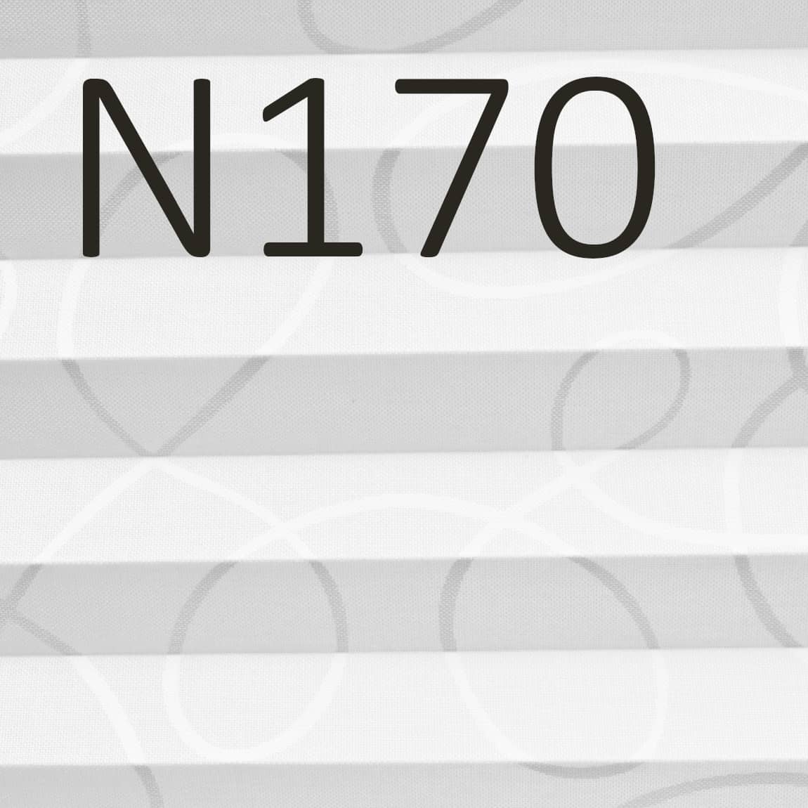 N170	Tansparenz	50%	PG	3