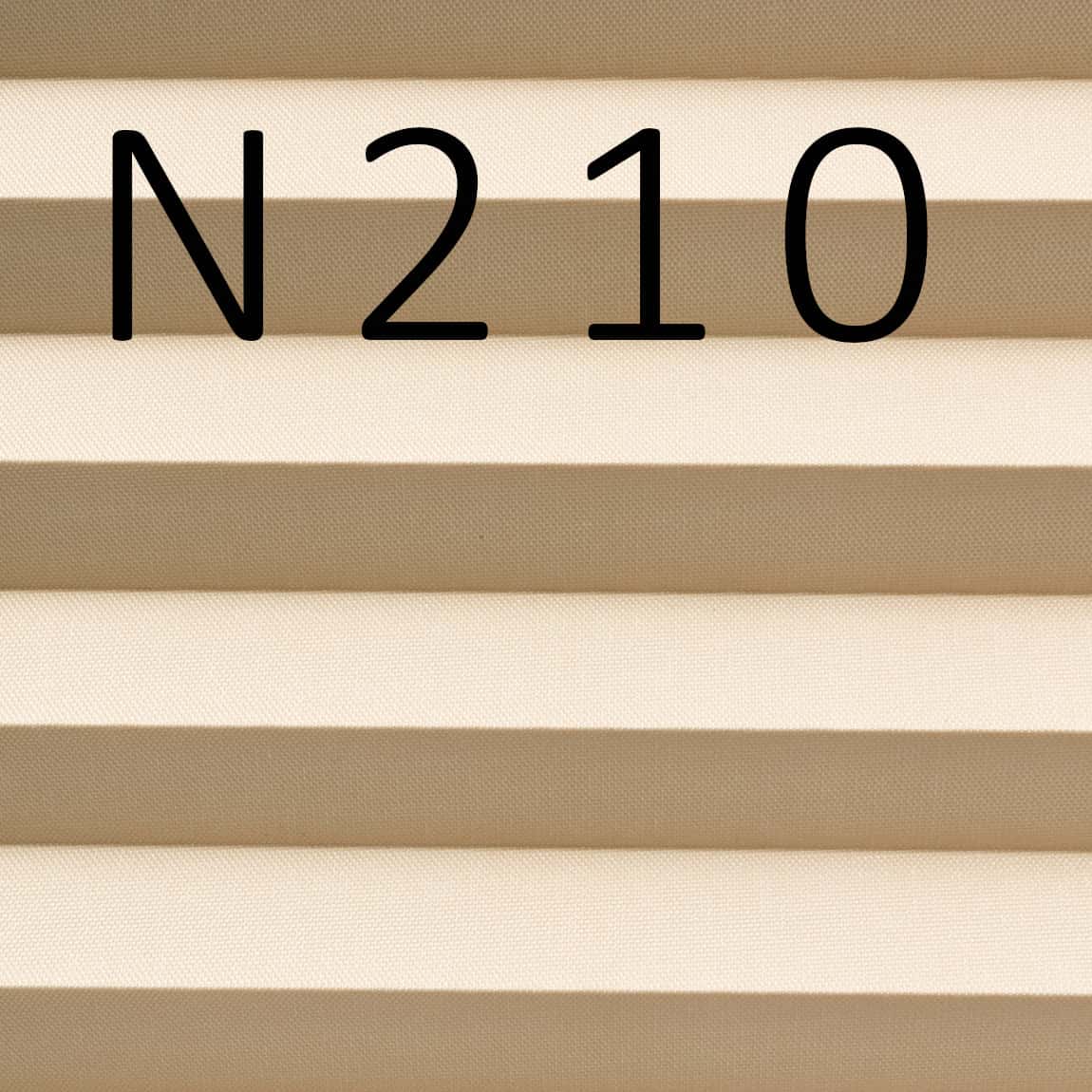 N210-t.jpg