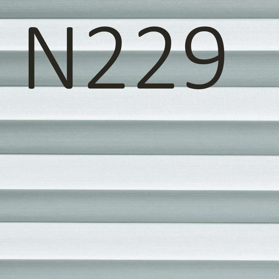 N229 Transparenz 19% PG 3