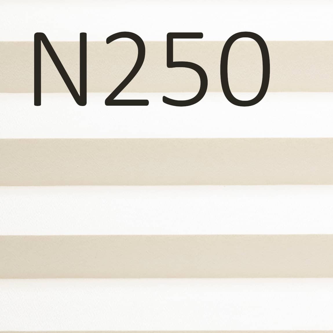N250 (1).jpg