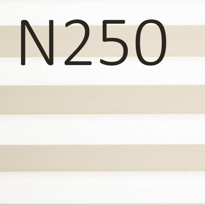 N250 (1).jpg