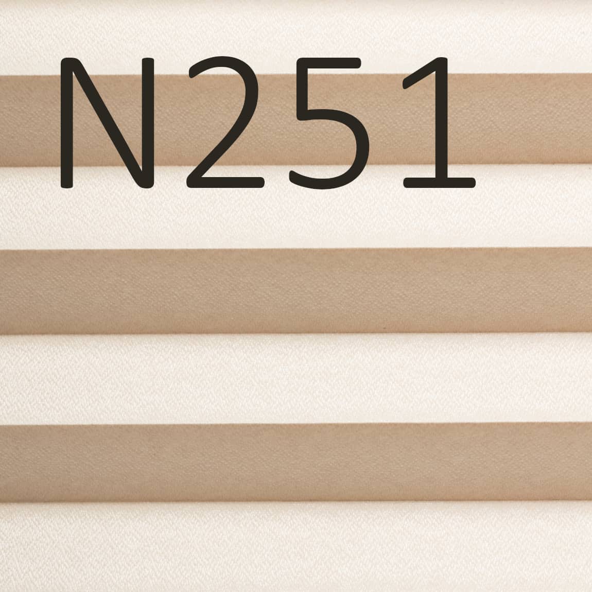 N251 (1).jpg