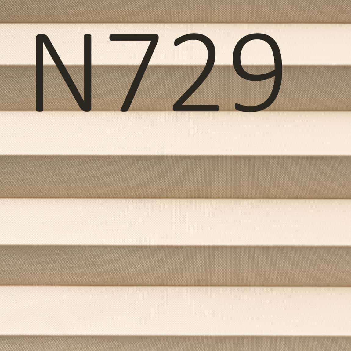 N729.jpg